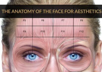 Anatomy and Physiology for facial aesthetics